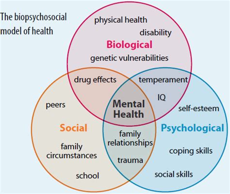 are kinks hereditary|Current biopsychosocial science on understanding kink